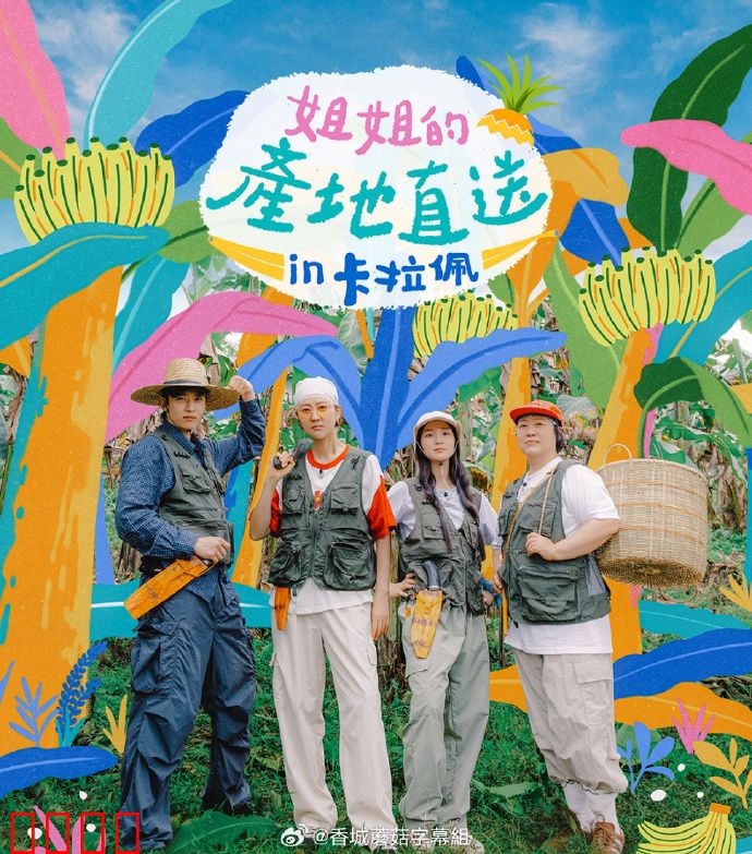 姐姐家的产地直送3：乡村的暖意