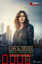 法律与秩序：正义之锤