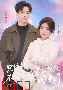 只给钱不回家的老公忽然回来了：隐藏的秘密