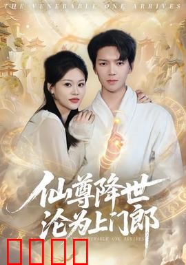 仙尊降世沦为上门郎：逆袭人生