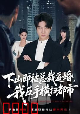 下山即被总裁逼婚，我反手横扫都市：强者归来