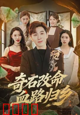 奇石改命血路归乡：血战还乡