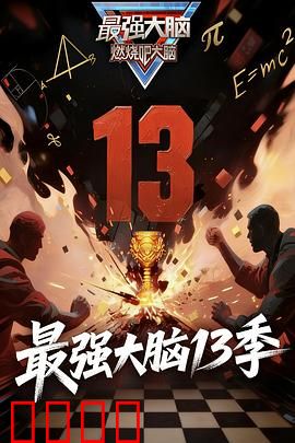 最强大脑 第十三季：天才新篇