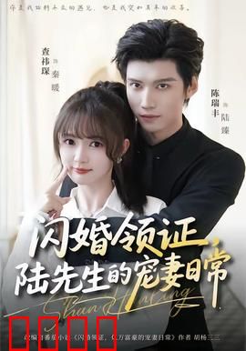 闪婚领证，陆先生的宠妻日常：甜蜜婚后宠