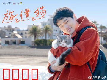 旅行和我和猫：治愈心灵的流浪