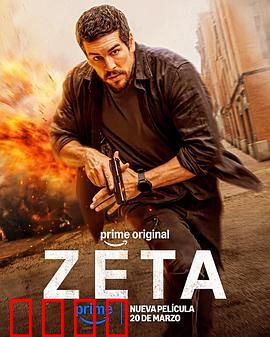 谍杀风暴：暗影猎手