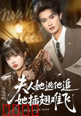 夫人她逃他追，她插翅难飞：错爱七年