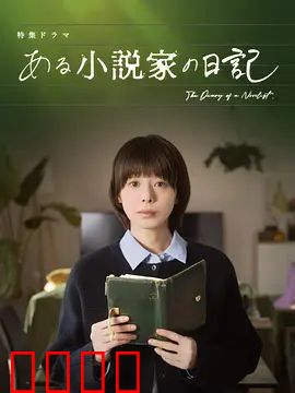 某小说家的日记：笔尖下的真相