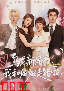乌龙新婚夜，我和姐姐走错啦：爆笑错位