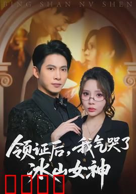 领证后，我气哭了冰山女神：笑中带泪
