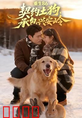 《重生86：逆袭商界》