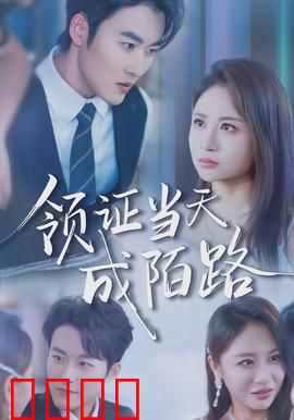 领证当天成陌路：新婚即离