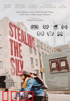 窃取天空：云端盗贼