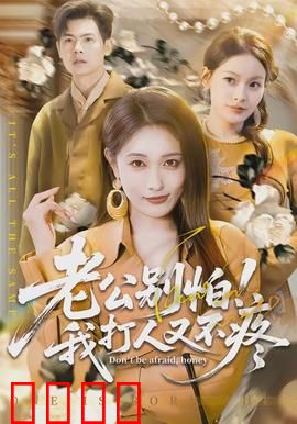 老公别怕！我打人又不疼：温柔妻子的秘密