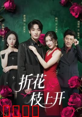 折花枝上开：宦海浮沉情义深