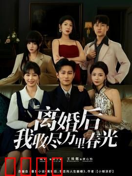 离婚后我收尽万里春光：重生之旅