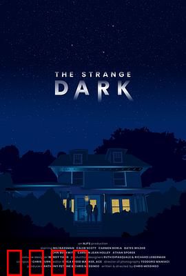 奇异黑暗：光影迷局