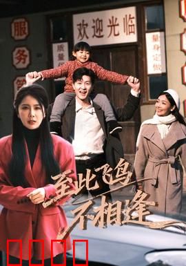 到此飞鸟不相逢：此生再无重逢