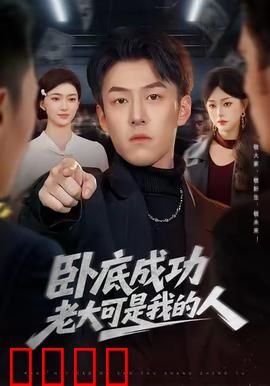 卧底成功老大可是我的人：双面人生