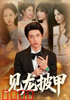 见龙披甲：铁血忠魂