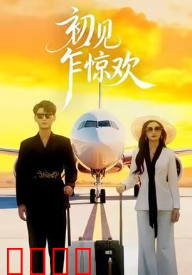 初见乍惊欢：心动邂逅的秘密