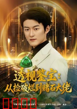 透视鉴宝：玄瞳辨真伪