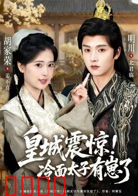 皇城震惊冷面太子有崽了：现代奶爸逆袭