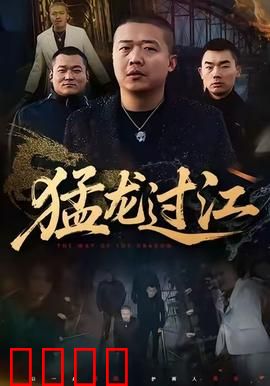 猛龙过江：功夫斗黑帮
