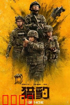 猎豹：追凶24小时