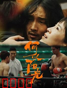 何以阳光：向阳而生的爱