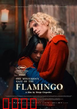 弗拉明戈的神秘眼神：舞动灵魂的秘密