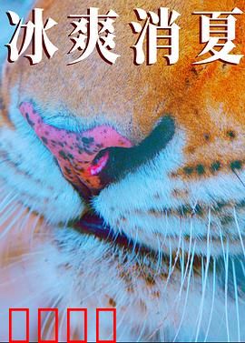 寒冰白血：极地生死劫