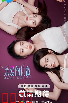 亲爱的仇敌：暗战终局