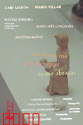 你燃烧了我：爱的代价