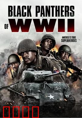 二战黑豹：铁血传奇