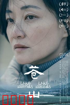 苍山：守护家园的誓言