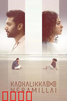 无暇顾爱：职场女强人的爱情逆袭