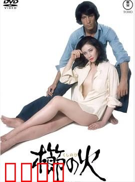 梳之火：火焰中的记忆密码