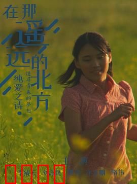 在那遥远的北方：极地猎人传奇