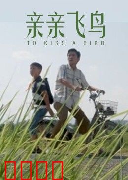 亲亲飞鸟：寻找自由的爱