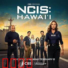 海军罪案调查处：铁血探员