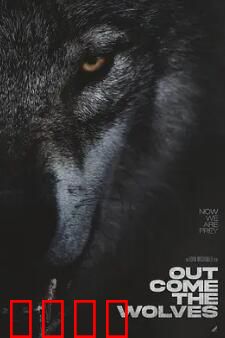 狼群出动：冰原猎杀