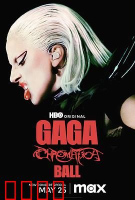 LadyGaga：荣耀背后