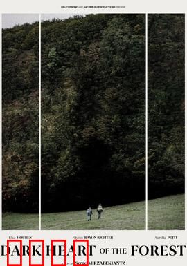 森林的黑暗心脏：人性沦陷之旅