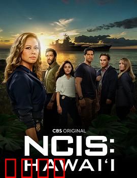 海军罪案调查处：暗潮汹涌