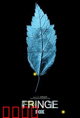 危机边缘第一季：平行世界之谜