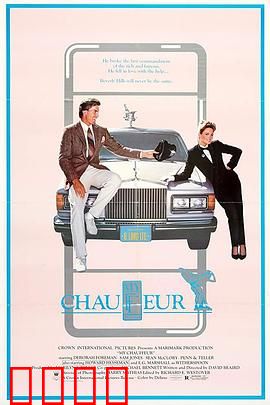 我的司机：暖心相伴