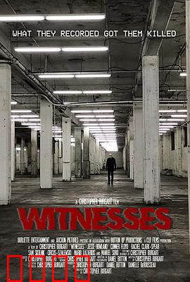 目击者2019：暗夜疑云