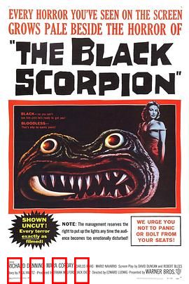 黑蝎：致命毒刺