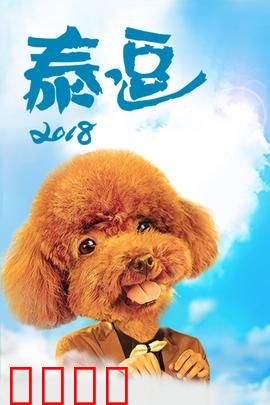 泰逗2018：囧途再启程